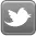 Follow Us on Twitter